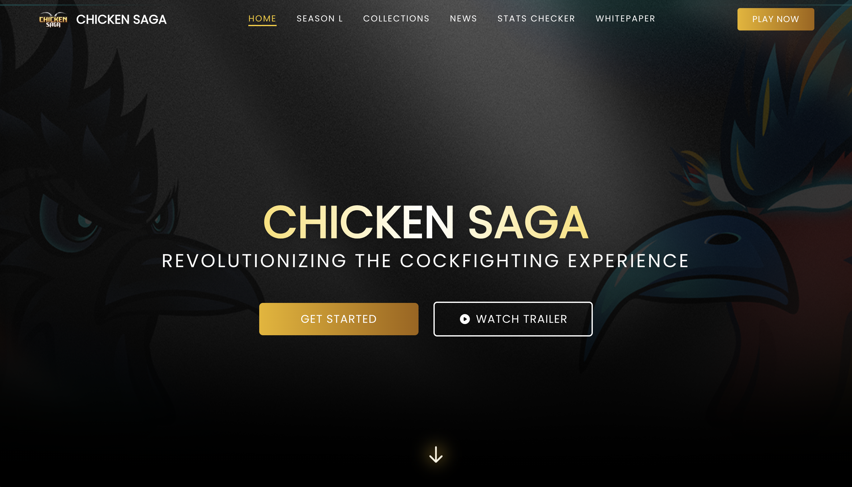 Chicken Saga Website